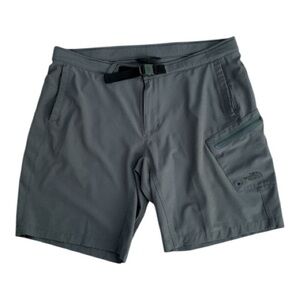 The North Face Apex Washoe Shorts